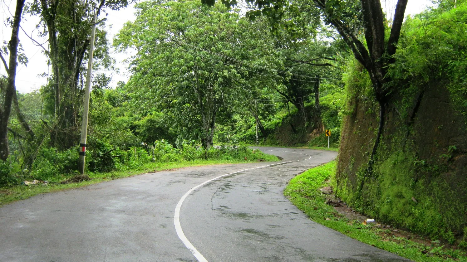 A wet tarmac road curving through dense green forest on the lower slopes below Ponmudi