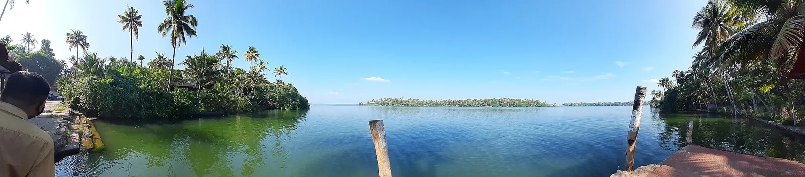 A wide panorama taken from a landing on Ashtamudi: green shallow water in the foreground with two bare wooden mooring posts standing in it, coconut palms crowding both banks, and a low wooded island lying across the middle distance under a clear blue sky.