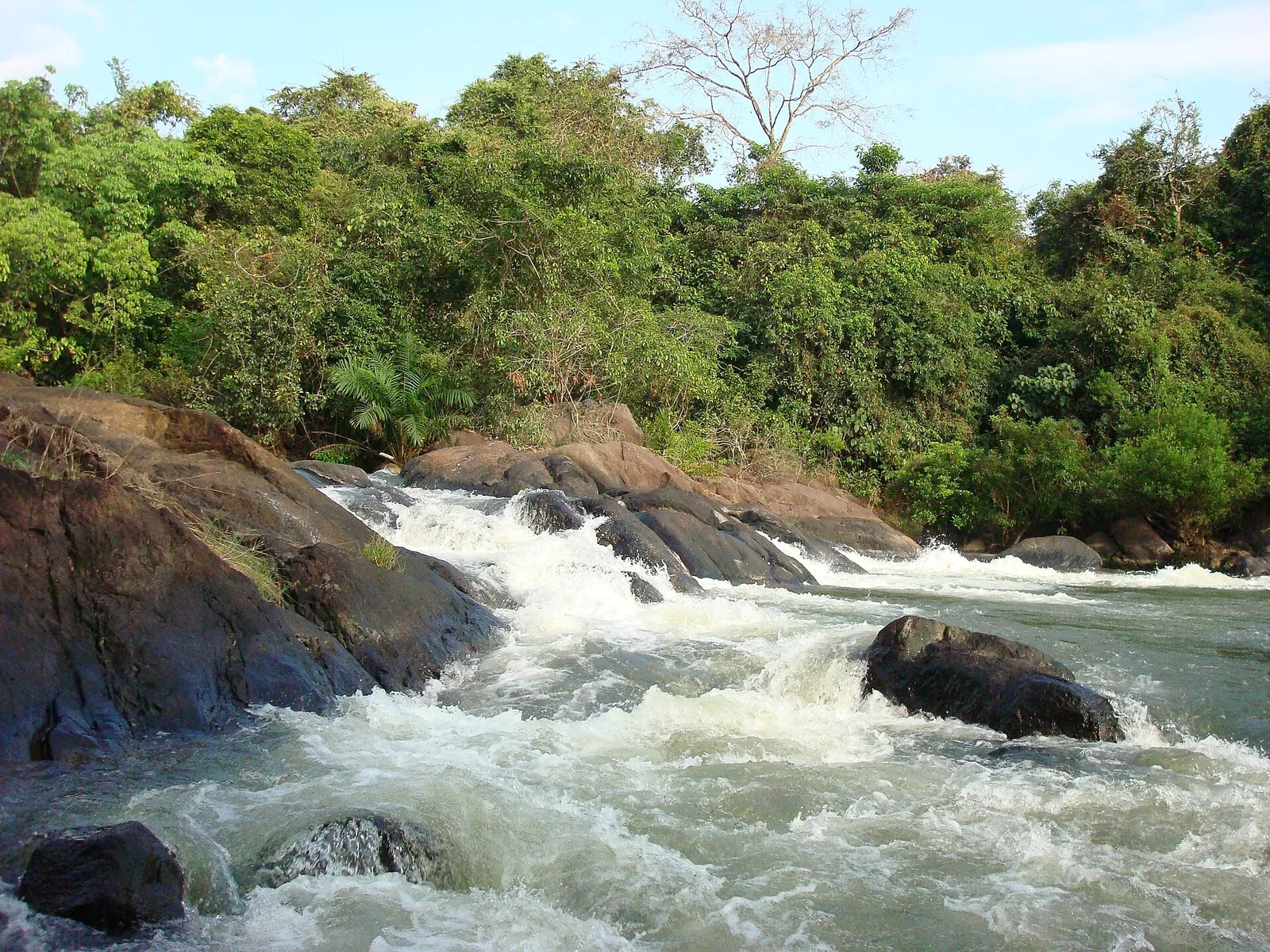The Kallada river breaking into white rapids over bare dark rock at Kakod on the road to Punalur, with dense green forest along the far bank.
