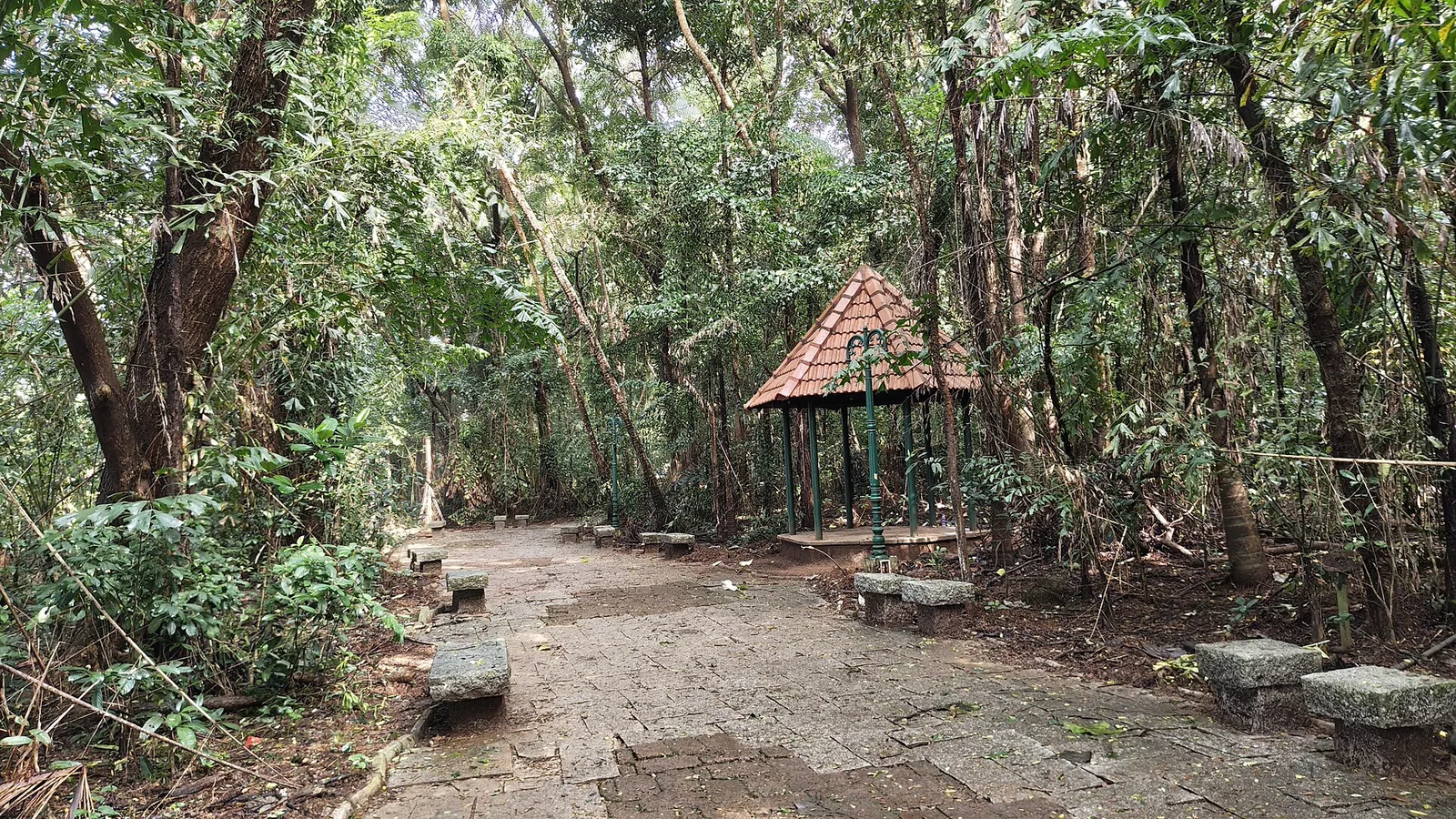 A small pavilion with a tiled pyramidal roof on green iron columns, standing in dense forest at Sarovaram Bio Park, with rough stone benches beside a stone-slab path.