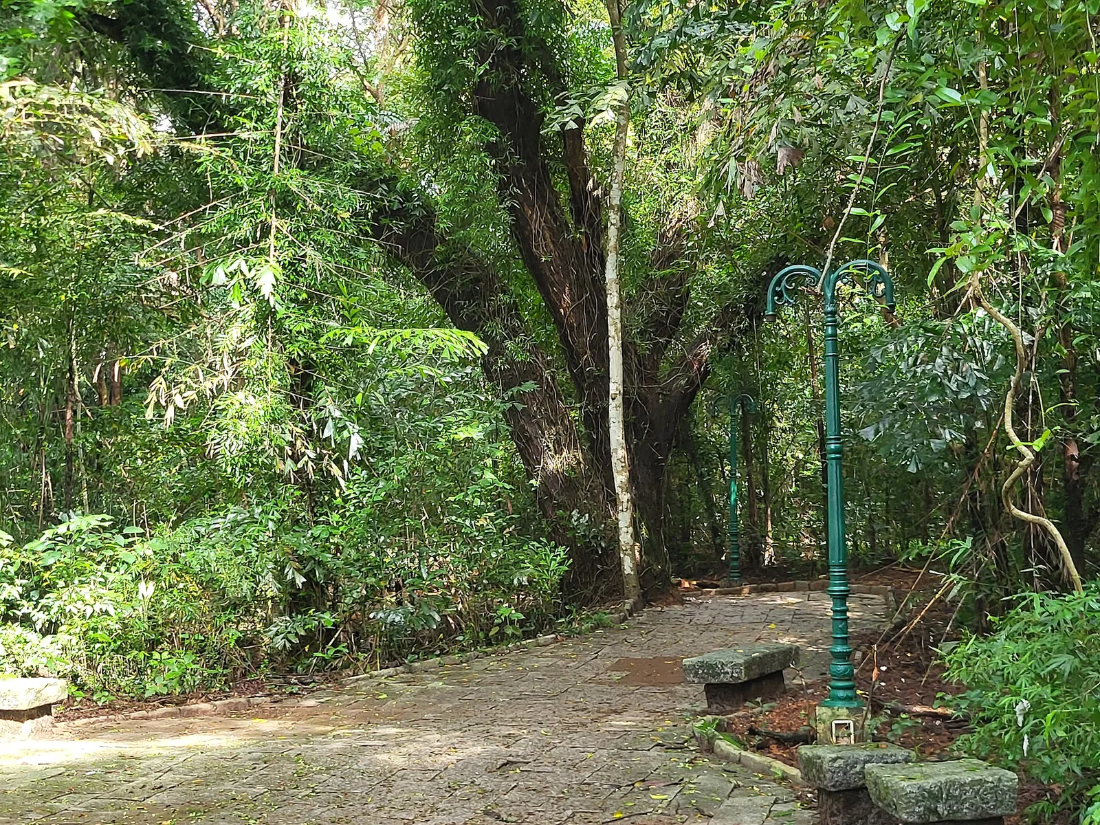 A stone-slab path curving through dense forest at Sarovaram Bio Park, with two ornate green cast-iron lamp standards and rough stone benches beside it.