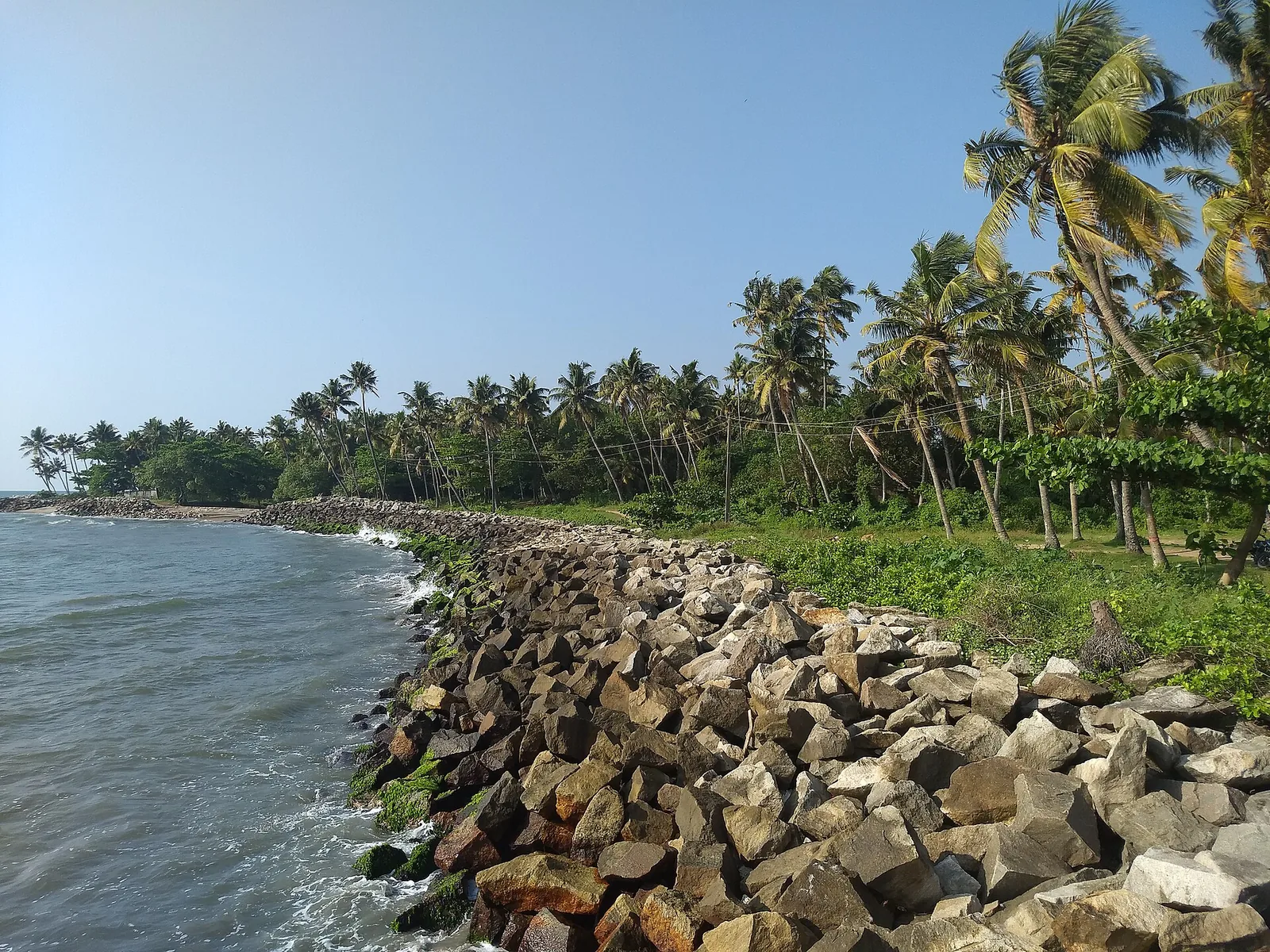 A massive granite riprap revetment of angular quarried boulders running along the shore at Thirumullavaram, the sea washing directly against it, coconut palms and grass behind.