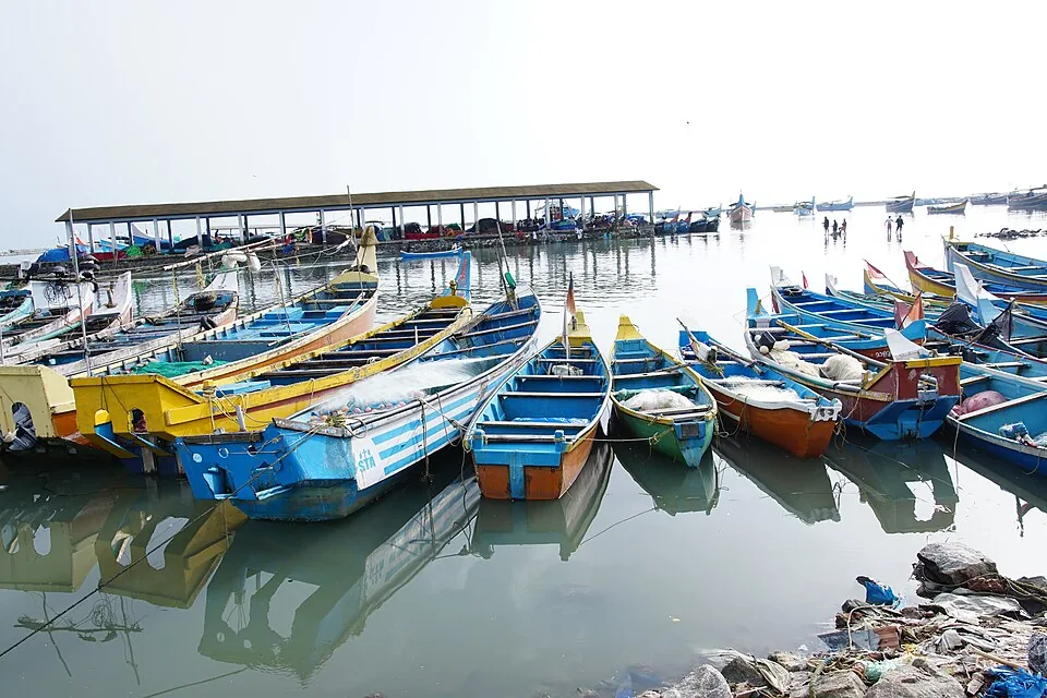 Wooden fishing boats in bright blue, yellow and green moored close together in the calm water of Koyilandy harbour, with a long roofed auction shed and a breakwater in the distance.