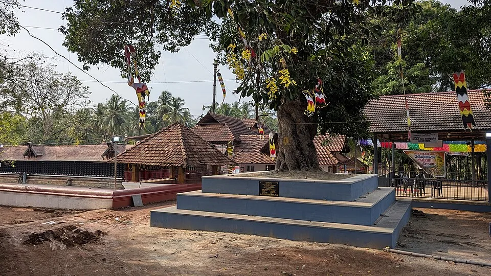 The precinct at Lokanarkavu Temple near Vadakara, with tiled shrine roofs, festival decorations and the sacred tree on its raised plinth