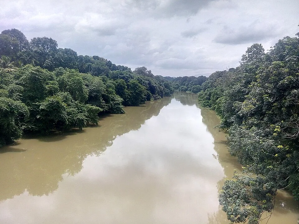 The green Meenachil river running between wooded banks, seen from a bridge
