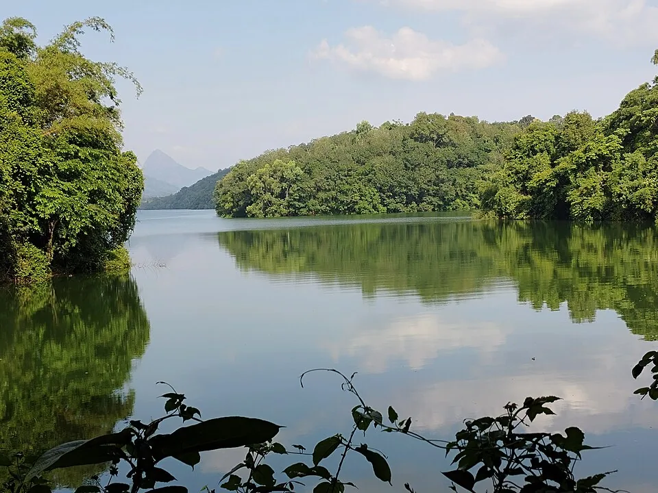 Still water on the Neyyar reservoir reflecting forested banks, with a distant peak visible through a gap in the hills