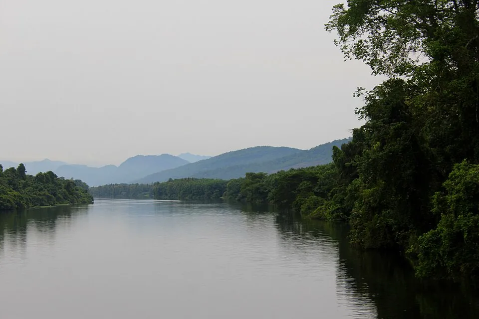 The Periyar river running past forest at Thattekkad, Ernakulam