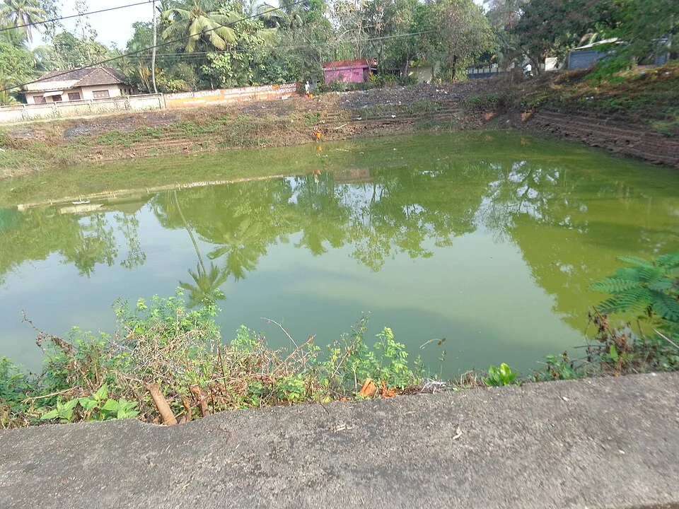 A broad green temple pond with earthen banks, houses and trees on the far side and a low boundary wall carrying painted lettering.