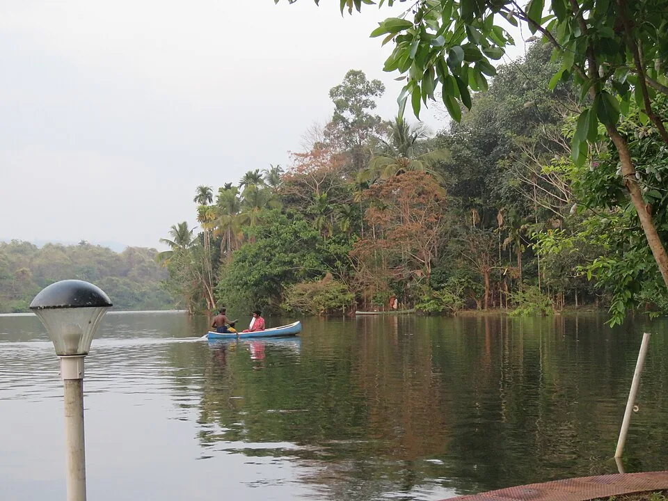A small boat on the still reservoir at Bhoothathankettu, with the water running up against a dense forest edge