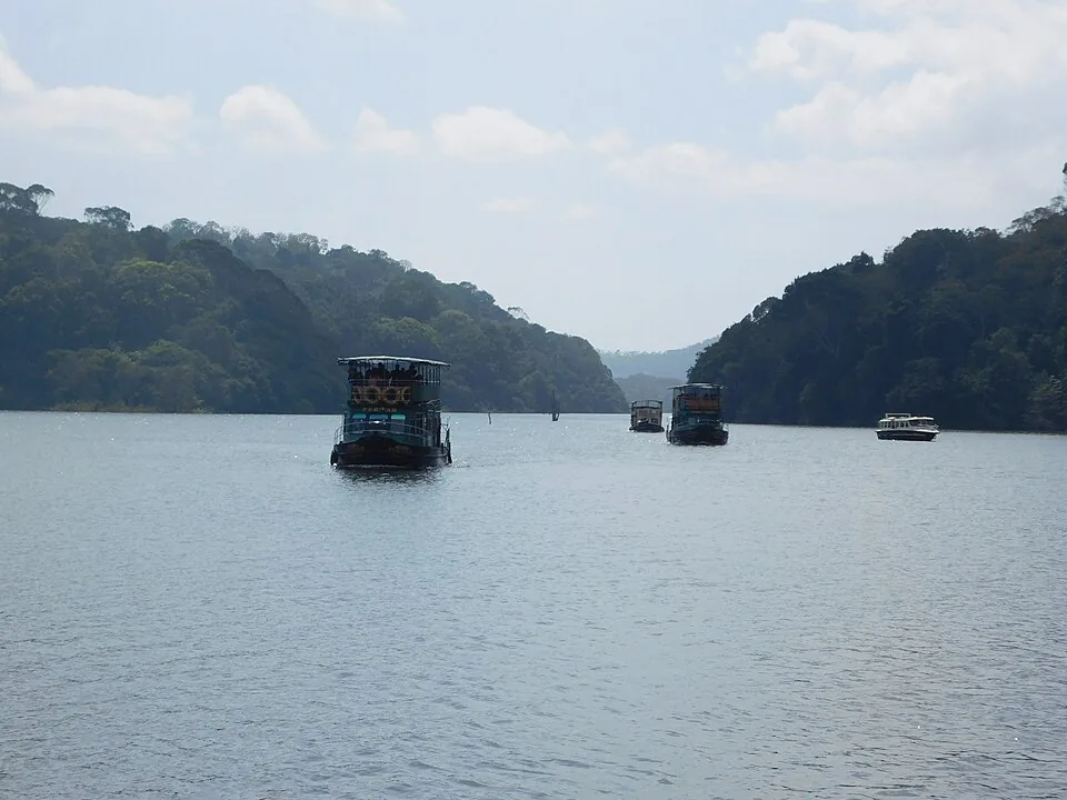 Safari boats moving in single file down a channel of Periyar lake between forested banks, with dead tree stumps standing out of the water