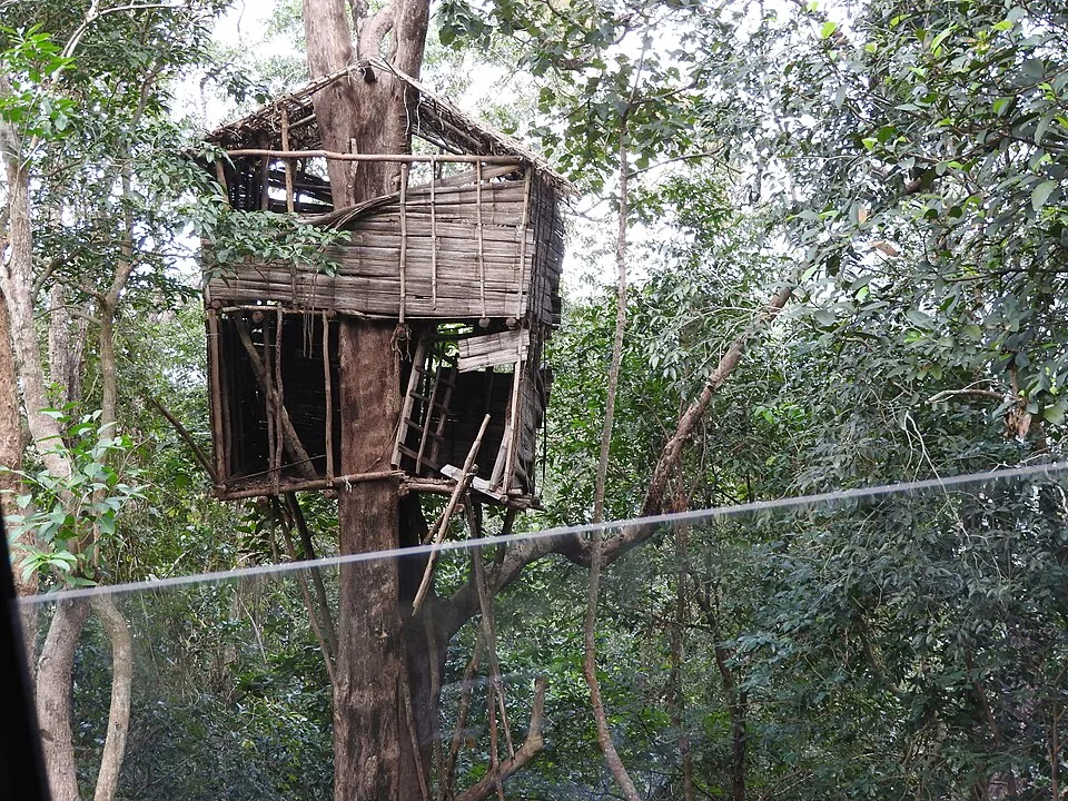 A bamboo and timber tree hut built high in a tree in the Peppara Wildlife Sanctuary