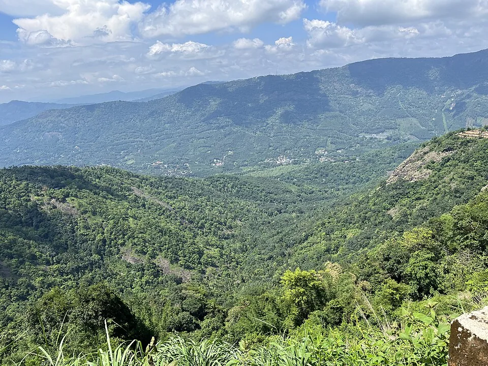 Deep green valley and layered ridges below a Vagamon hillside