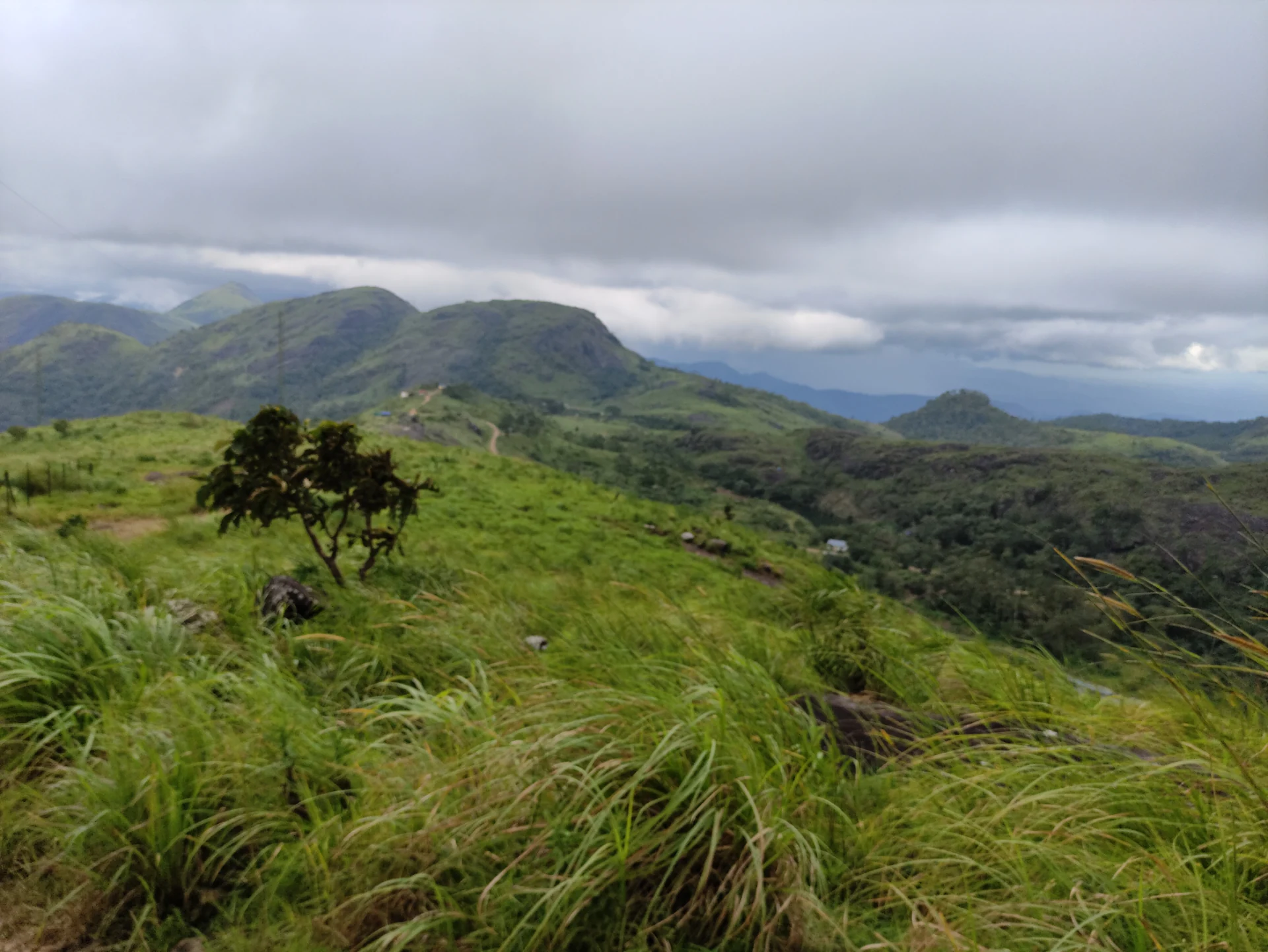 Grass-covered Ilaveezhapoonchira hills stretch behind a small tree, with a track and mast visible under grey clouds.