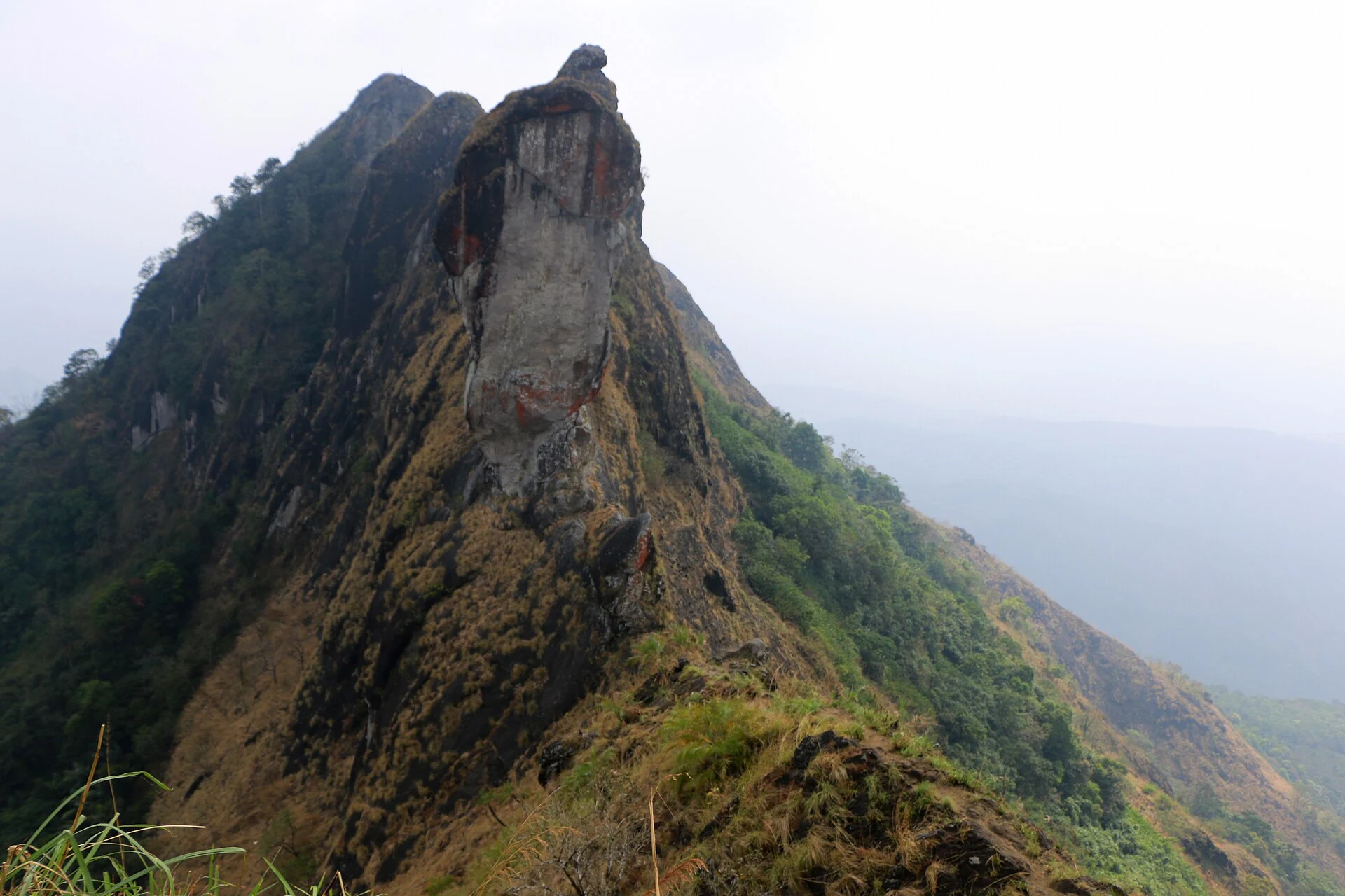 A close view of Illikkal Kallu shows the pale rock face, darker cap and grass growing on the adjoining steep ridge.