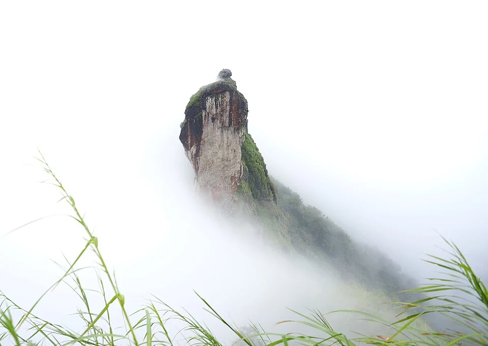 Illikkal Kallu’s rock tower rises out of thick white mist, with blades of grass in the foreground.