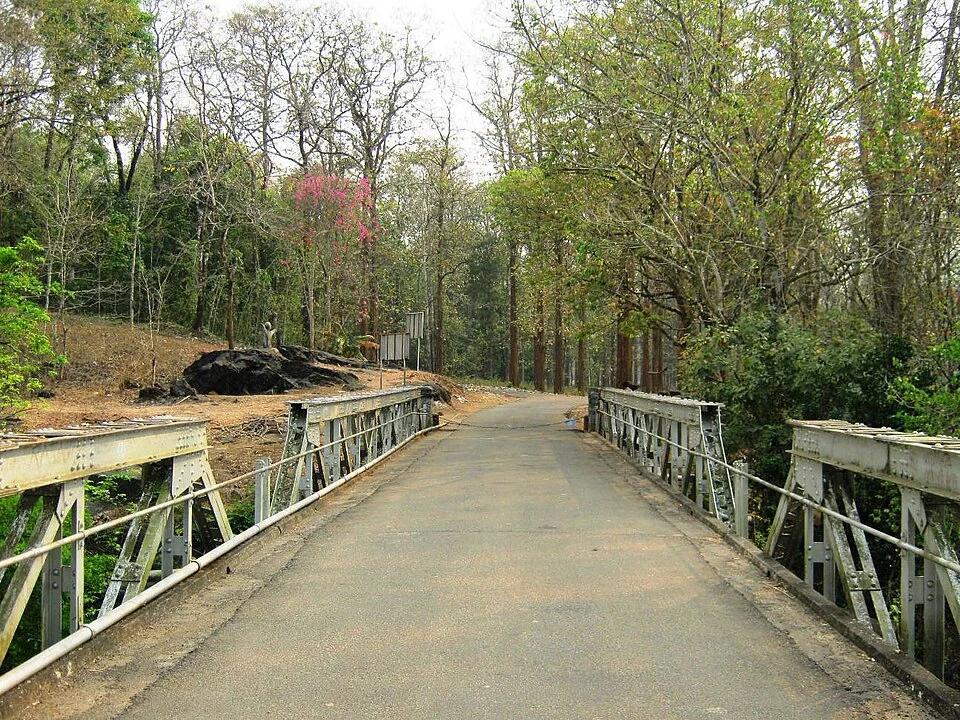 The metal-sided Karimpuzha bridge carries the road into trees at Nedumkayam.