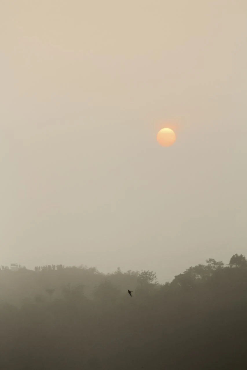 A pale orange sun appears through haze above dark tree silhouettes at Kurumbalakotta.
