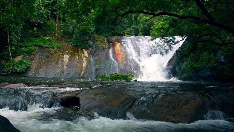 Water falls over a rock ledge and flows across lower slabs beneath overhanging trees at Dhoni.