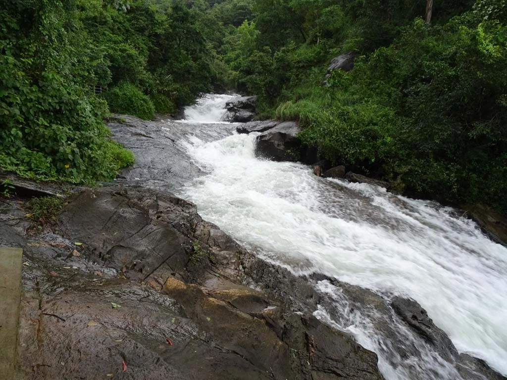 Foaming water rushing diagonally down a broad dark-rock chute between dense forest