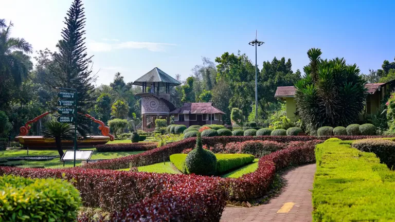 Clipped hedges and a peacock-shaped topiary border the paths in the Nilambur Teak Museum garden, with buildings beyond.