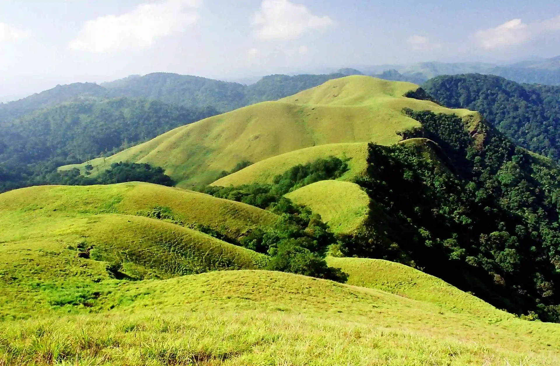 Bright green grass covers rounded Periyar ridges while darker forest fills the gullies.