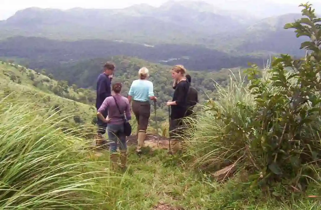 Four hikers walk away along a ridge through tall grass, with layered hills beyond.