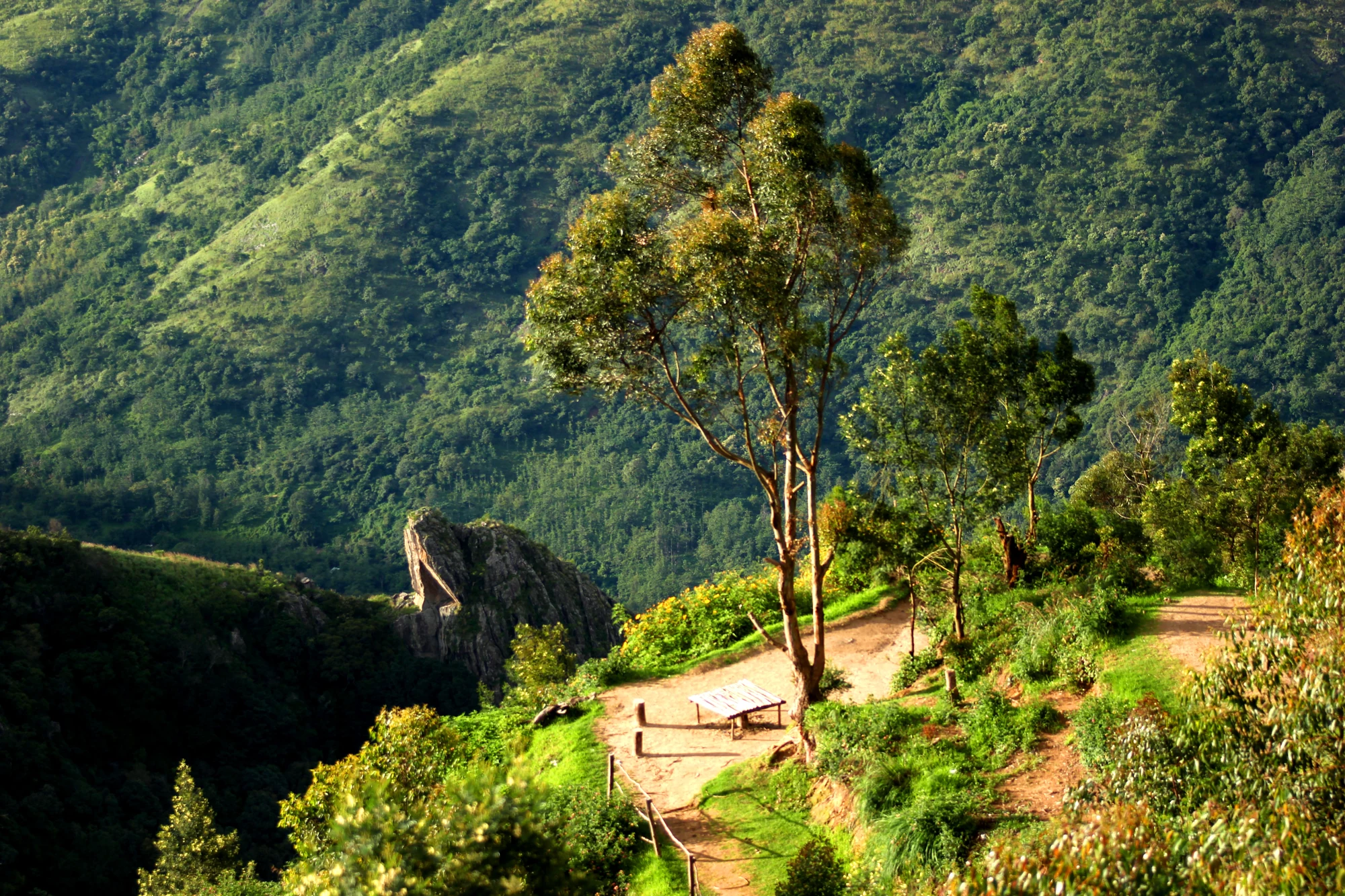 A narrow earthen viewpoint path passes trees and railings above the valley at Top Station