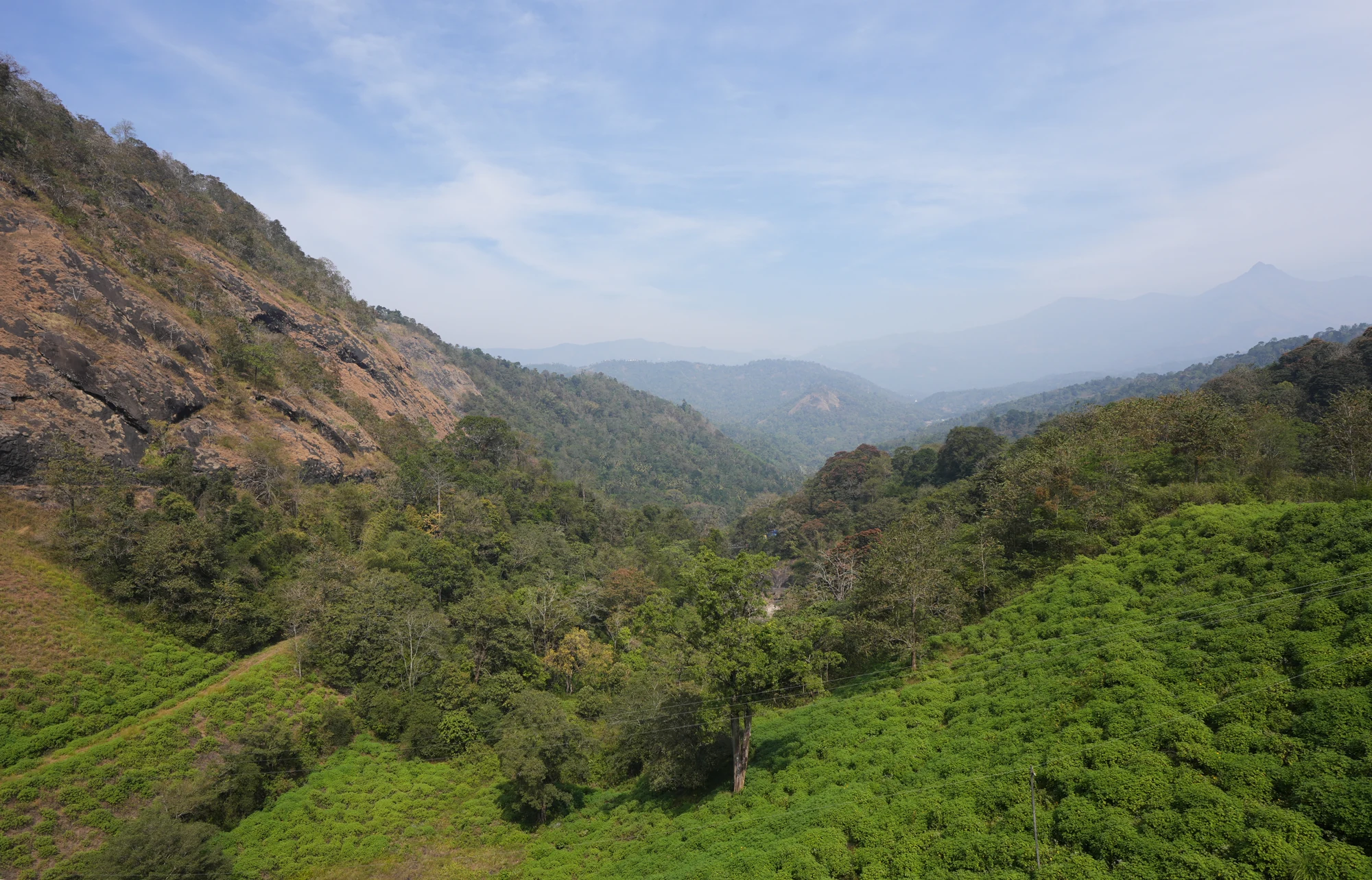 Wooded valley below Ponmudi Dam, with a rocky slope on the left and hazy ridges beyond
