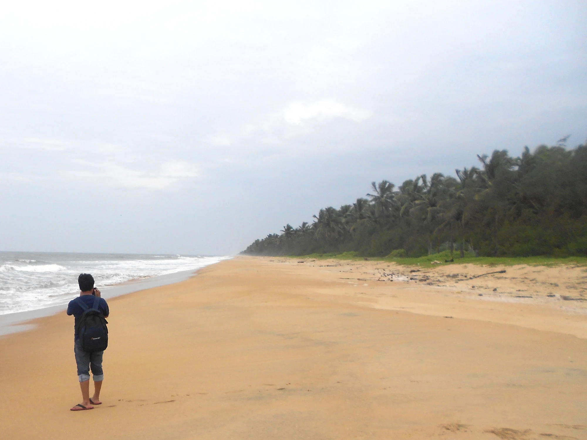 Sand, coconut trees and breaking surf along Valiyaparamba’s Arabian Sea beach