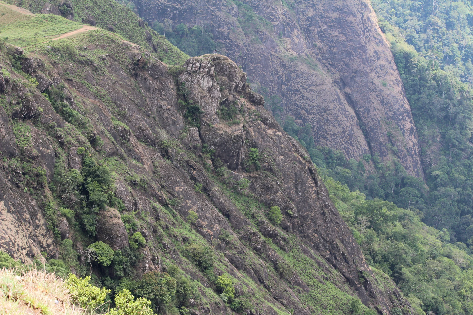A jutting natural rock profile rises above the wooded valley at Parunthumpara