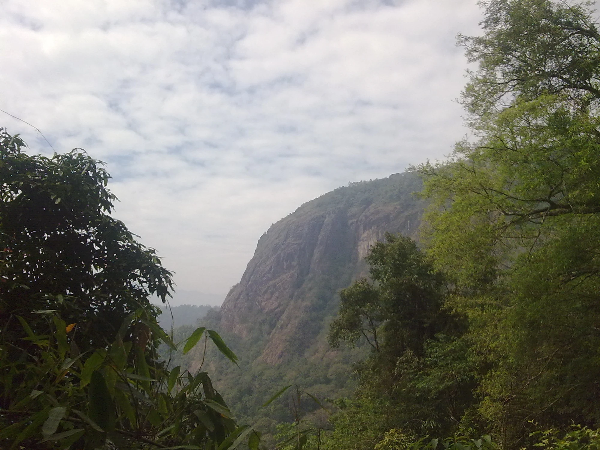 A steep exposed cliff rises beyond foliage near the old Vaduvanchal Meenmutty approach