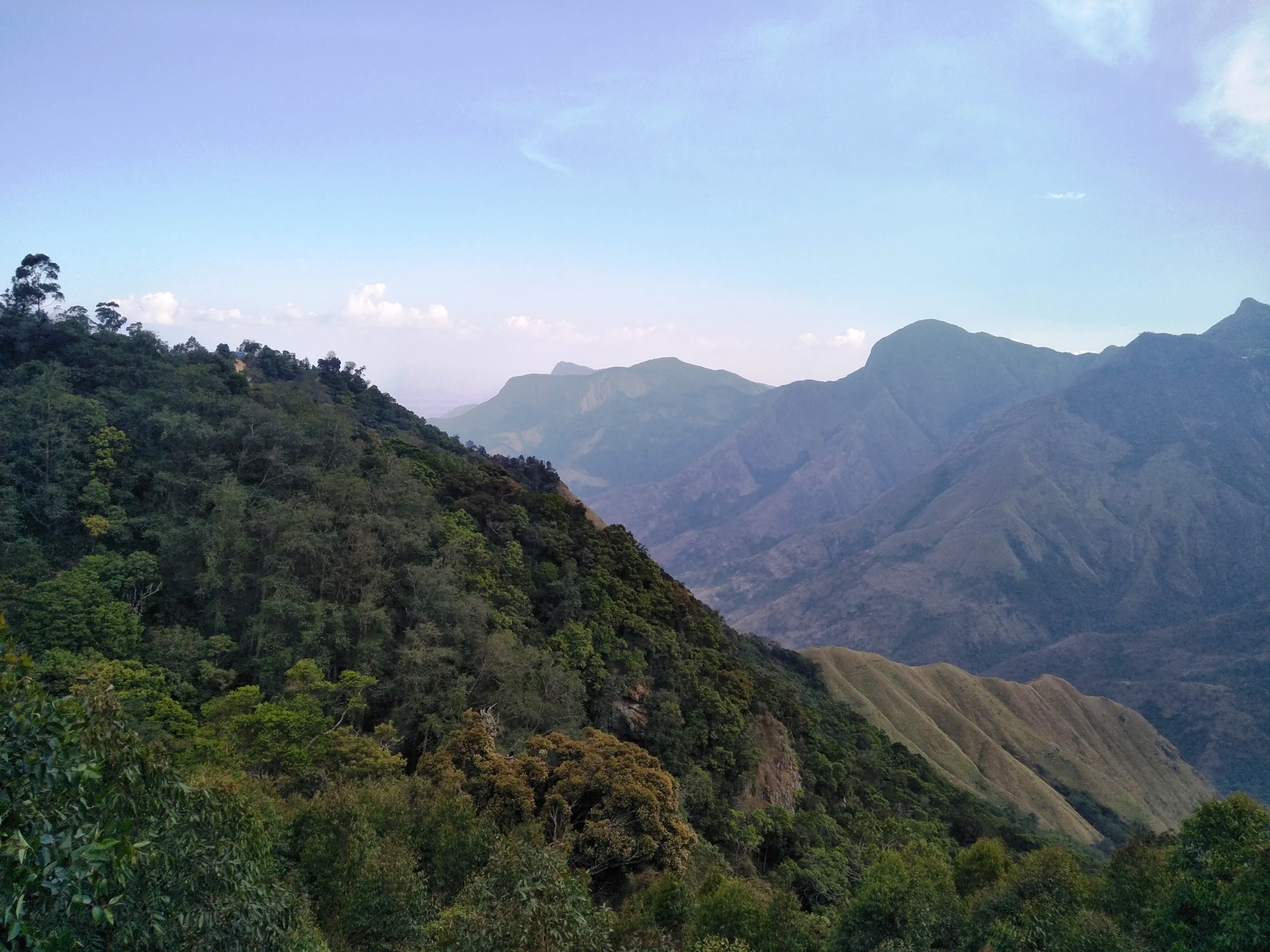A wooded foreground ridge overlooks the deep valley and open mountain slopes at Top Station