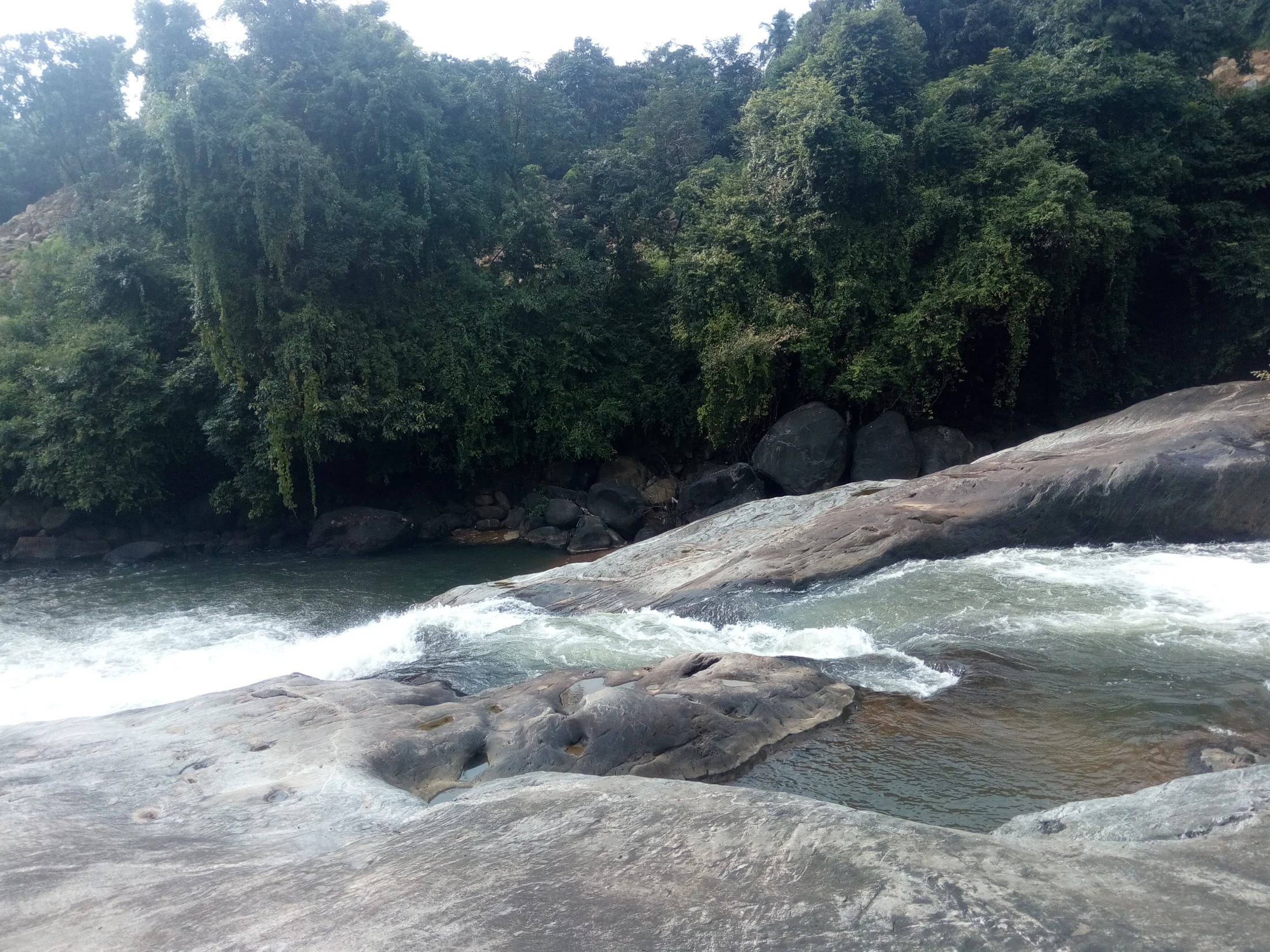 The Iruvanjippuzha runs in white channels over dark rock at Arippara.