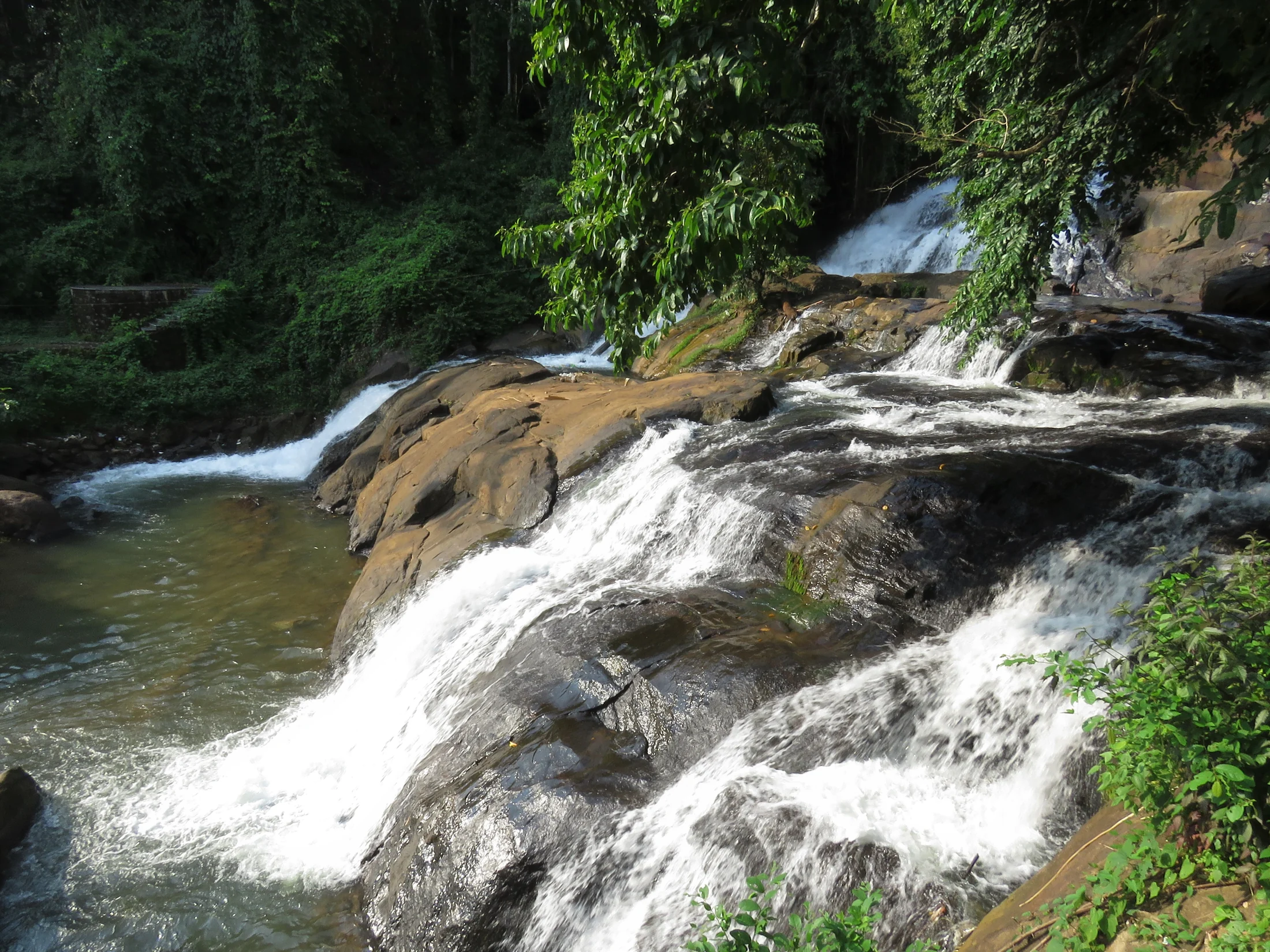A side view of Aruvikkuzhi’s cascade, with dark rock, foaming water and vegetation around the channel.