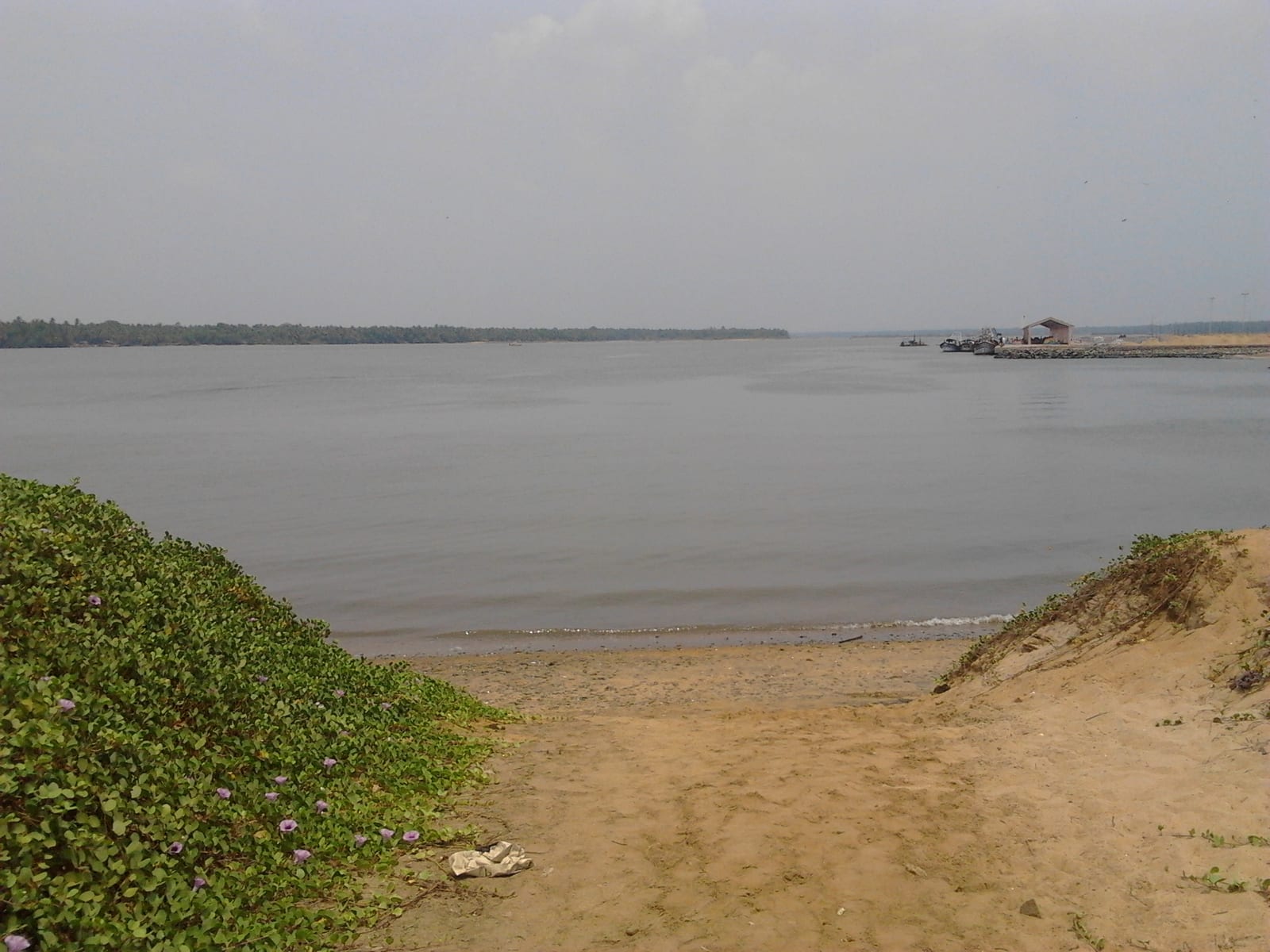 The Bharathapuzha river in Malappuram