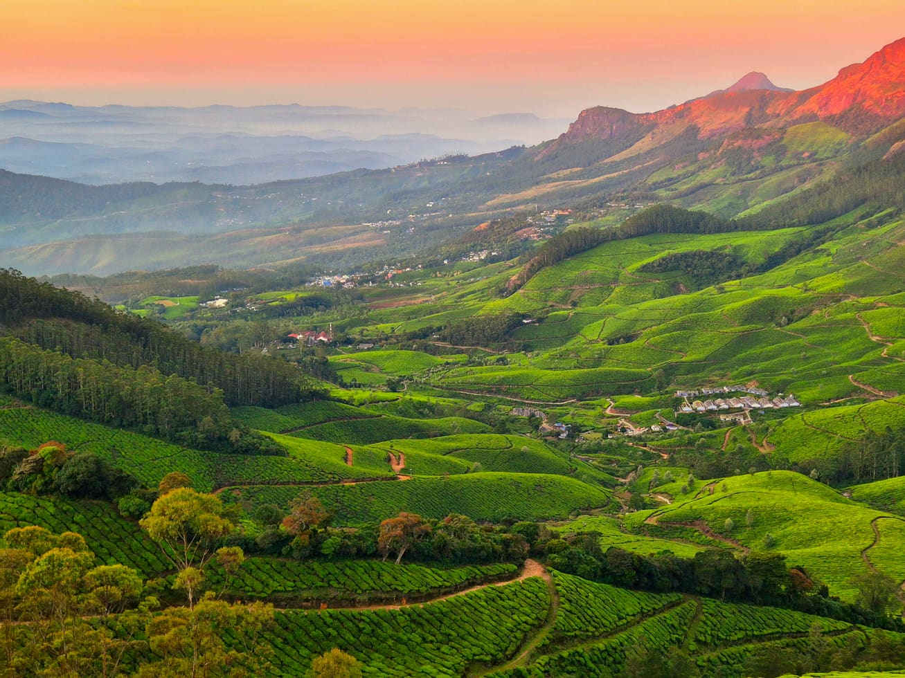 Sunrise over tea hills near Kolukkumalai, Munnar