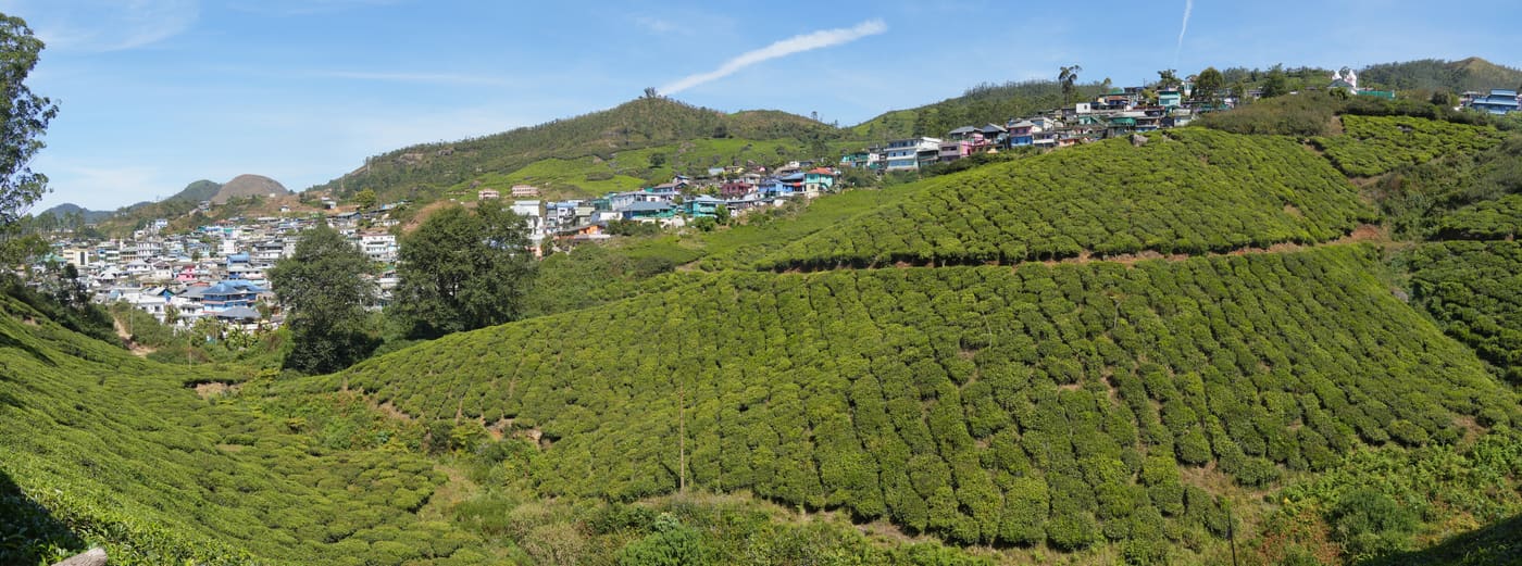 Munnar — Hill Station in Munnar