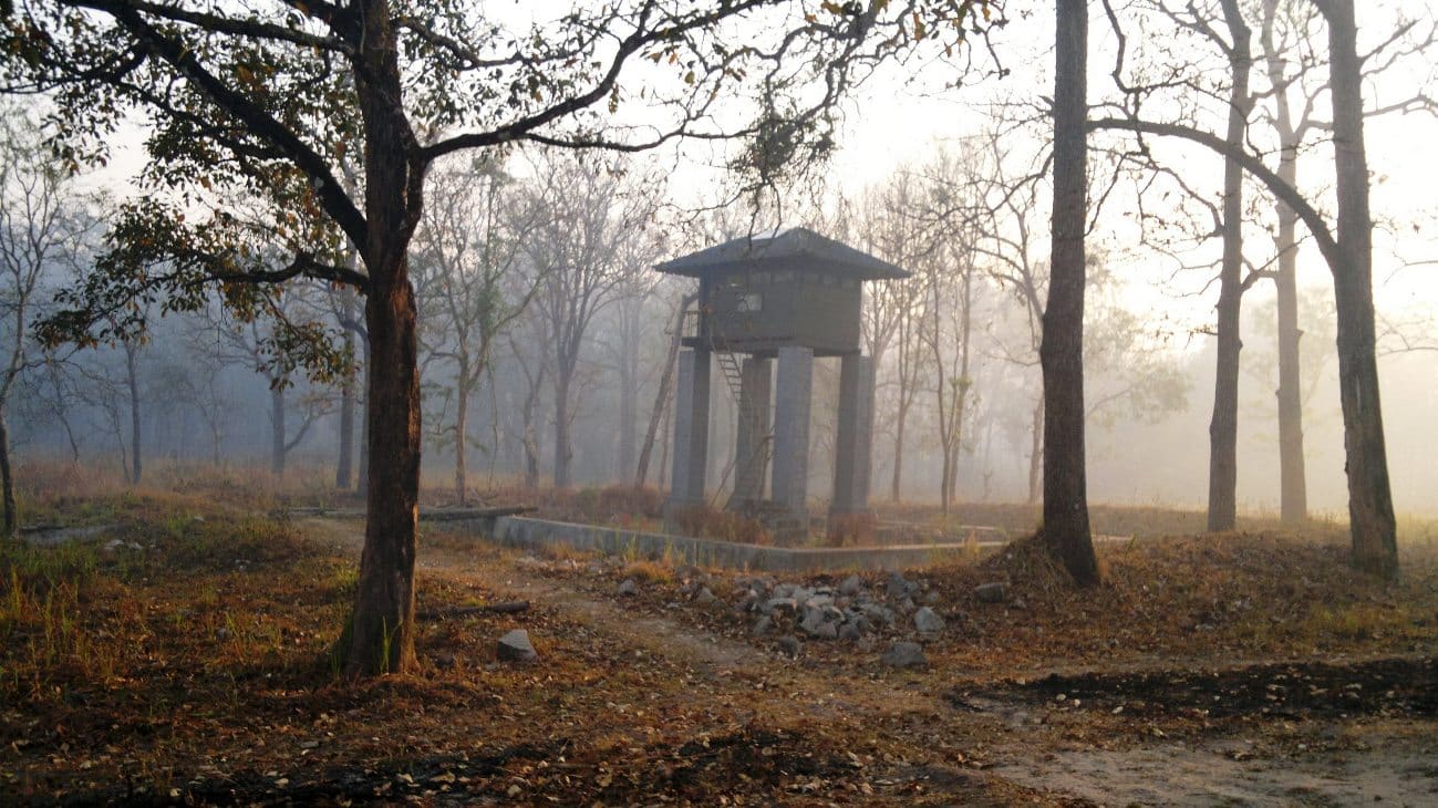 Wayanad Wildlife Sanctuary — Wildlife in Sulthan Bathery