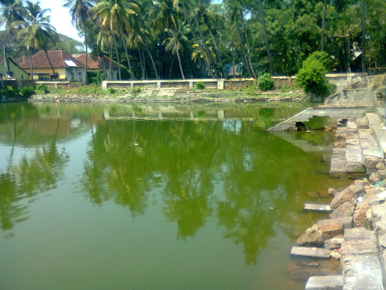 Temple Pond